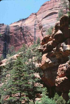 original--0039 Zion NP La Verkin Creek