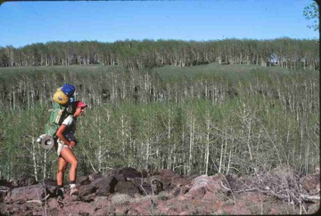 original--0042 Linda Markagunt Plateau Utah