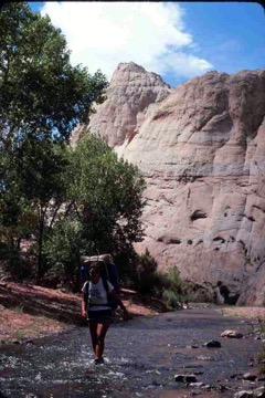 original--0052 Capitol Reef NP Oak Creek