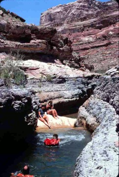 original--0068 Dark Canyon Swimming