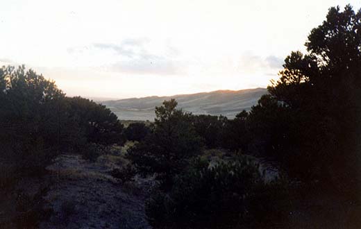 leaving the dunes