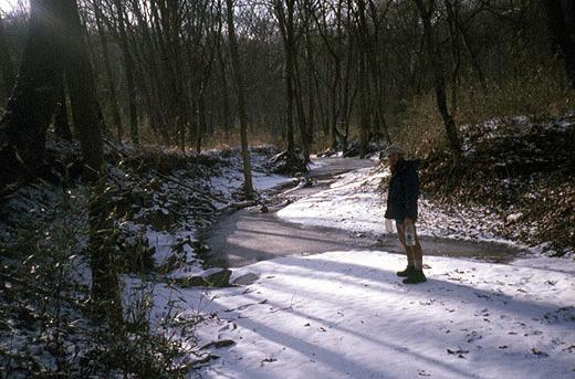 frozen stream