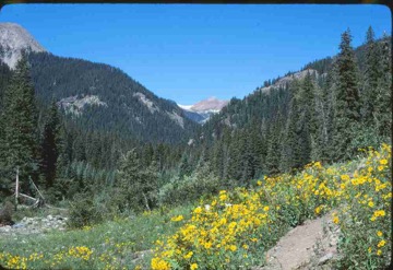 original--0108 Weminuche? Wilderness? Hot Spring, Colorado